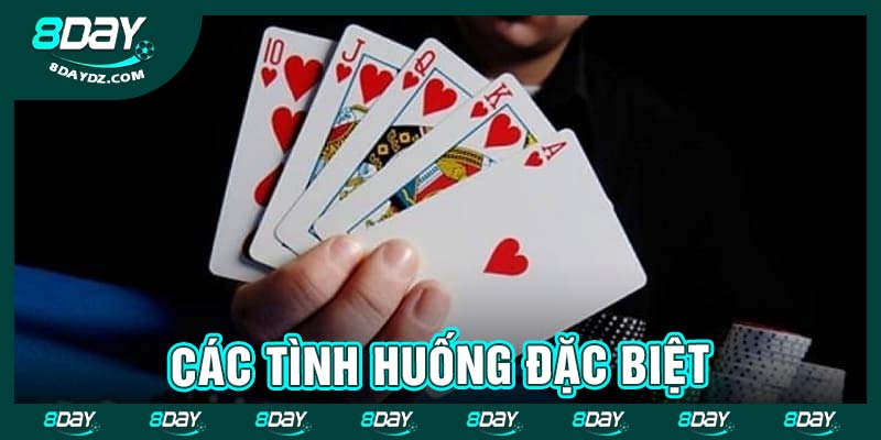 Các tình huống đặc biệt