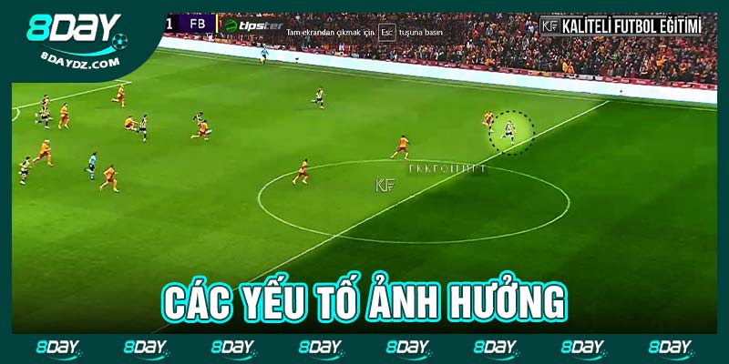 Các yếu tố ảnh hưởng