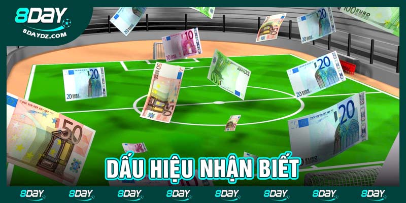 Dấu hiệu nhận biết