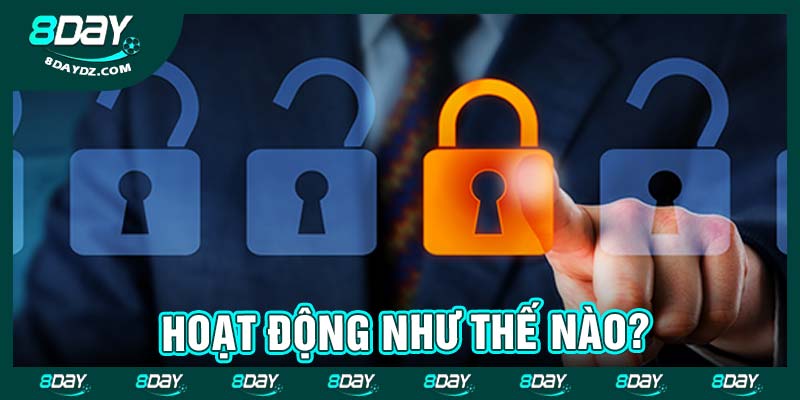 Hoạt động như thế nào?