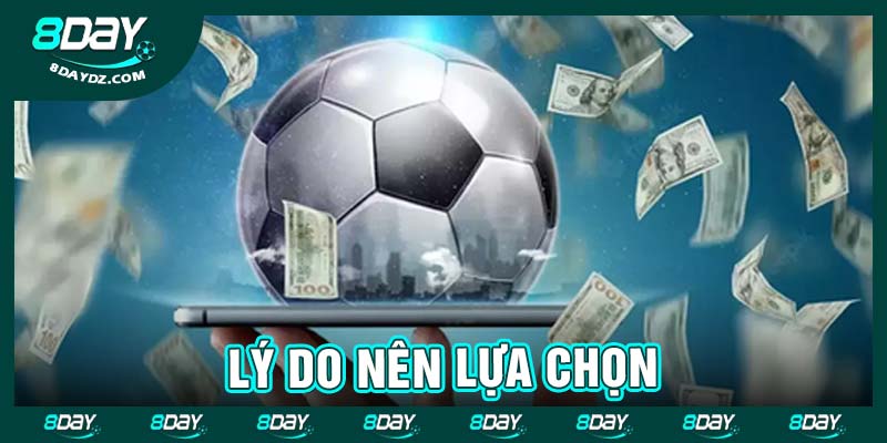 Lý do nên lựa chọn
