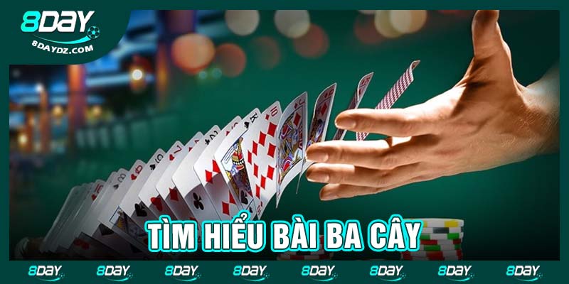 Tìm hiểu bài ba cây