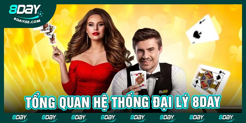 Tổng quan hệ thống đại lý 8day