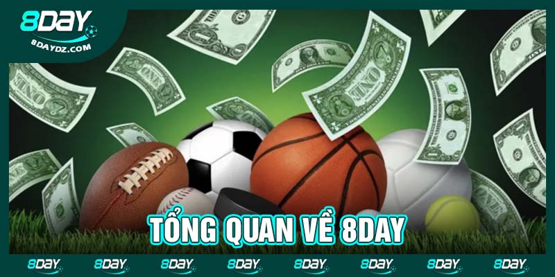 Tổng quan về 8day