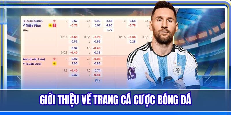 Tìm hiểu đôi nét về trang cá cược bóng đá