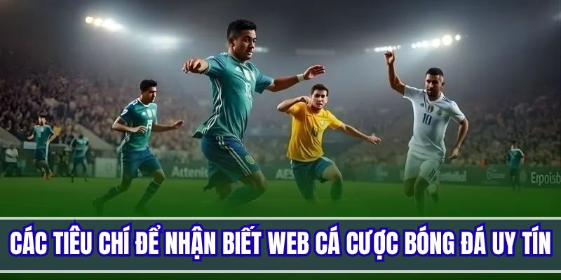 Những tiêu chí cơ bản để nhận biết một trang web cá độ uy tín